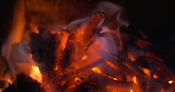 Burning Down Fire — Stock Video