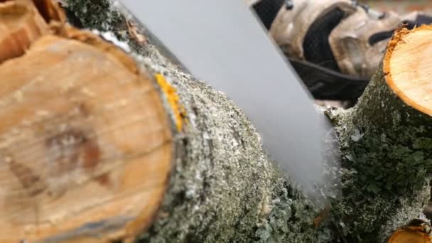 Coupe de bûches en bois avec scie à main — Video