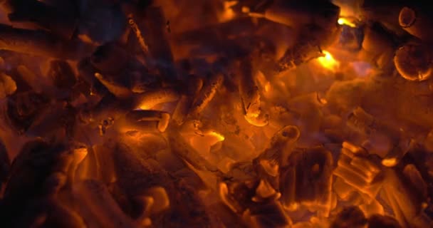 Holzglut im Lagerfeuer oder Kamin — Stockvideo