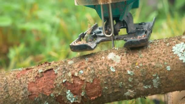 Pemrosesan log kayu dengan jigsaw listrik — Stok Video