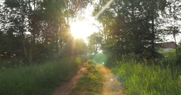Caminando por el camino rural hacia el sol — Vídeo de stock