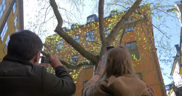 Vänner att ta bilder av träd i Stockholm — Stockvideo