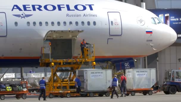 从货物和行李中卸下飞机 — 图库视频影像