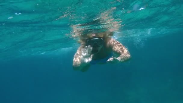 Donna che nuota con lo snorkeling nel Mar Rosso — Video Stock
