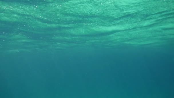 Волнистая поверхность моря под водой — стоковое видео
