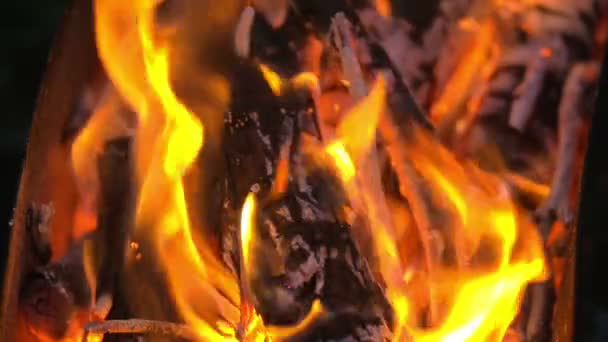 Charbon de bois et flamme de feu Gros plan — Video