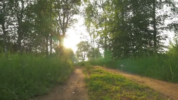 Camino del campo sin superficie en Dawn — Vídeo de stock