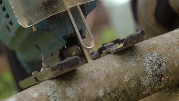 Puissance de travail Scie sauteuse Bois de coupe — Video