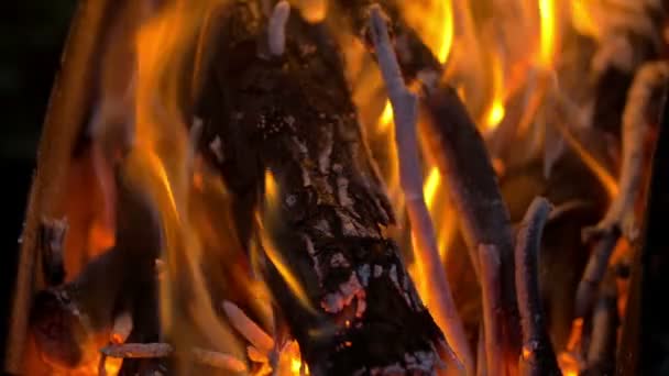 Glühende Lagerfeuer am Abend — Stockvideo