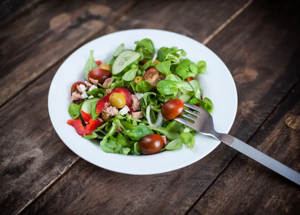 Taze yeşil salata. — Stok fotoğraf