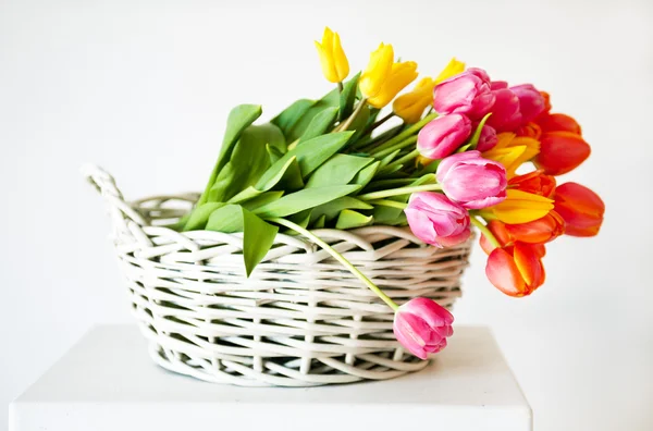 Tulipes dans le panier — Photo