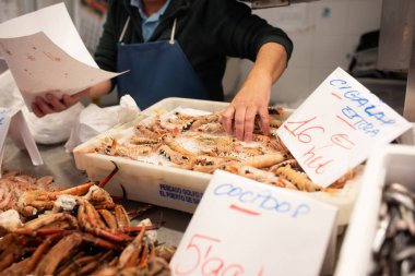 Cadiz, İspanya - 03 Aralık 2025: Deniz ürünleri satıcısı taze kabuklu deniz ürünleri ve canlı renklerle dolu market vitrininden karides seçiyor