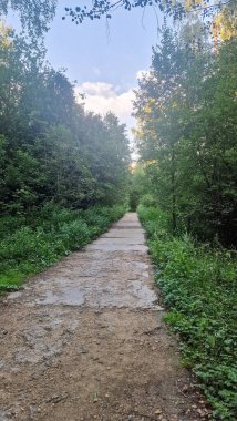 100 dolar. Ağaçlar ve yapraklarla çevrili, yoğun yeşilliklerde gezinen yol, yürümek, koşmak ya da doğanın güzelliğinden zevk almak için mükemmel sakin bir atmosfer yaratır.