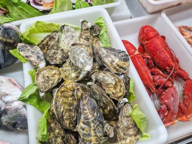 Deniz ürünleri tezgahı. İstiridye yığını yeşil marulun üzerinde buzda kaynamış ıstakozun yanında duruyor.
