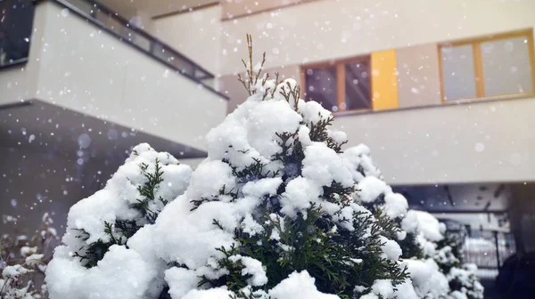 Fragment Modern Apartment Building Background Winter Heavy Snowfall Snow Slightly — Stock Photo, Image