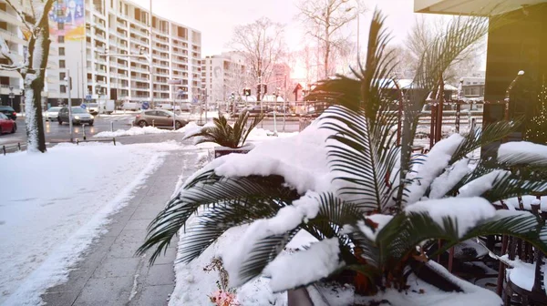 Warsaw Poland January 2021 Sidewalk Covered Snow — Stock Photo, Image