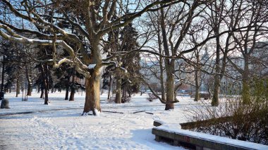 Varşova, Polonya. 18 Ocak 2021. Kış, Varşova şehir merkezinde park halinde.
