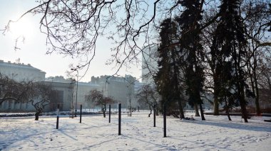 Varşova, Polonya. 18 Ocak 2021. Kış, Varşova şehir merkezinde park halinde.