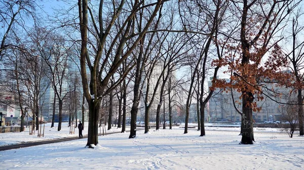 Варшава Польша Января 2021 Года Зима Парке Центре Варшавы — стоковое фото