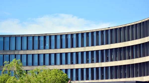 Moderne Immeuble Bureaux Centre Ville Entouré Arbres Verdure Fenêtre Surface — Photo