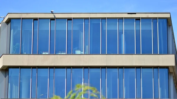 现代化的市中心写字楼四周绿树成荫 外面的窗玻璃映衬着蔚蓝的天空 商业办公大楼与绿树 商业与自然概念 — 图库照片