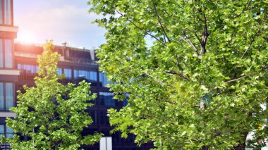 Güneş ışınlı modern mimari. Parlak güneşli bir günde mavi gökyüzünde güneş ışınları olan cam ve çelik cephe. Ekonomi, finans, iş faaliyeti kavramı.