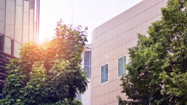  Ön cephenin bir parçası. Cam aynalı ofis binasının ön dokusu. Gündoğumunda ışık, mercekle parlıyor.. 