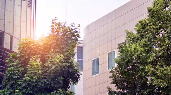  Ön cephenin bir parçası. Cam aynalı ofis binasının ön dokusu. Gündoğumunda ışık, mercekle parlıyor.. 