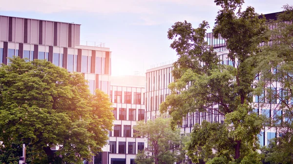  Ön cephenin bir parçası. Cam aynalı ofis binasının ön dokusu. Gündoğumunda ışık, mercekle parlıyor.. 