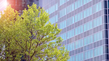 Ön cephenin bir parçası. Cam aynalı ofis binasının ön dokusu. Gündoğumunda ışık, mercekle parlıyor.. 