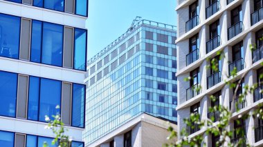 Çevre mimarisi. Yeşil ağaç ve cam ofis binası. Doğanın ve modernliğin ahengi.