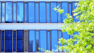 Çevre mimarisi. Yeşil ağaç ve cam ofis binası. Doğanın ve modernliğin ahengi.