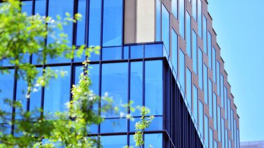 Çevre mimarisi. Yeşil ağaç ve cam ofis binası. Doğanın ve modernliğin ahengi.