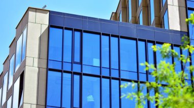 Çevre mimarisi. Yeşil ağaç ve cam ofis binası. Doğanın ve modernliğin ahengi.