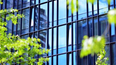 Çevre mimarisi. Yeşil ağaç ve cam ofis binası. Doğanın ve modernliğin ahengi.