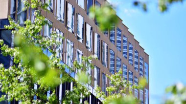 Çevre mimarisi. Yeşil ağaç ve cam ofis binası. Doğanın ve modernliğin ahengi.