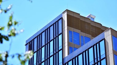 Çevre mimarisi. Yeşil ağaç ve cam ofis binası. Doğanın ve modernliğin ahengi.