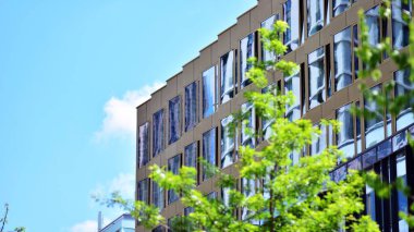 Çevre mimarisi. Yeşil ağaç ve cam ofis binası. Doğanın ve modernliğin ahengi.