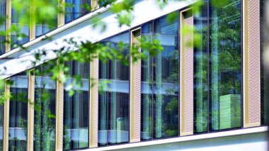Çevre mimarisi. Yeşil ağaç ve cam ofis binası. Doğanın ve modernliğin ahengi.