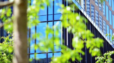 Çevre mimarisi. Yeşil ağaç ve cam ofis binası. Doğanın ve modernliğin ahengi.