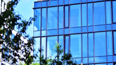 Çevre mimarisi. Yeşil ağaç ve cam ofis binası. Doğanın ve modernliğin ahengi.