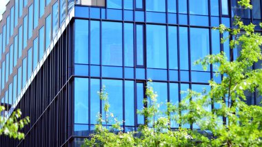 Çevre mimarisi. Yeşil ağaç ve cam ofis binası. Doğanın ve modernliğin ahengi.