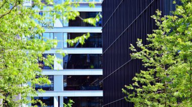 Çevre mimarisi. Yeşil ağaç ve cam ofis binası. Doğanın ve modernliğin ahengi.