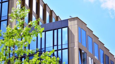 Çevre mimarisi. Yeşil ağaç ve cam ofis binası. Doğanın ve modernliğin ahengi.