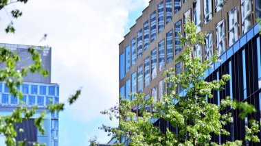 Çevre mimarisi. Yeşil ağaç ve cam ofis binası. Doğanın ve modernliğin ahengi.