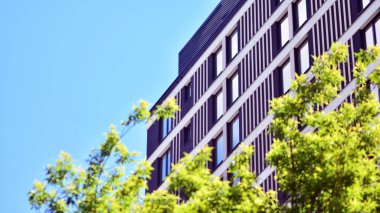 Çevre mimarisi. Yeşil ağaç ve apartman. Doğanın ve modernliğin ahengi.