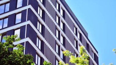 Çevre mimarisi. Yeşil ağaç ve apartman. Doğanın ve modernliğin ahengi.