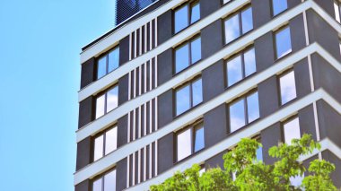 Çevre mimarisi. Yeşil ağaç ve apartman. Doğanın ve modernliğin ahengi.