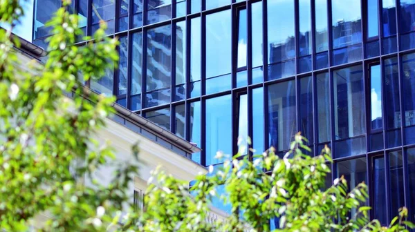 Çevre mimarisi. Yeşil ağaç ve cam ofis binası. Doğanın ve modernliğin ahengi.