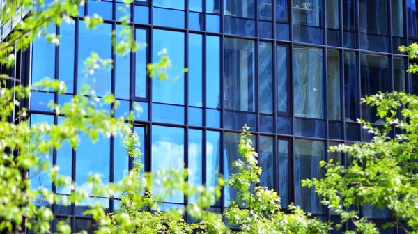 Eco architecture. Green tree and glass office building. The harmony of nature and modernity.